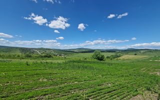 Teren extravilan 2 hectare Zona Sigmir - Poză 1