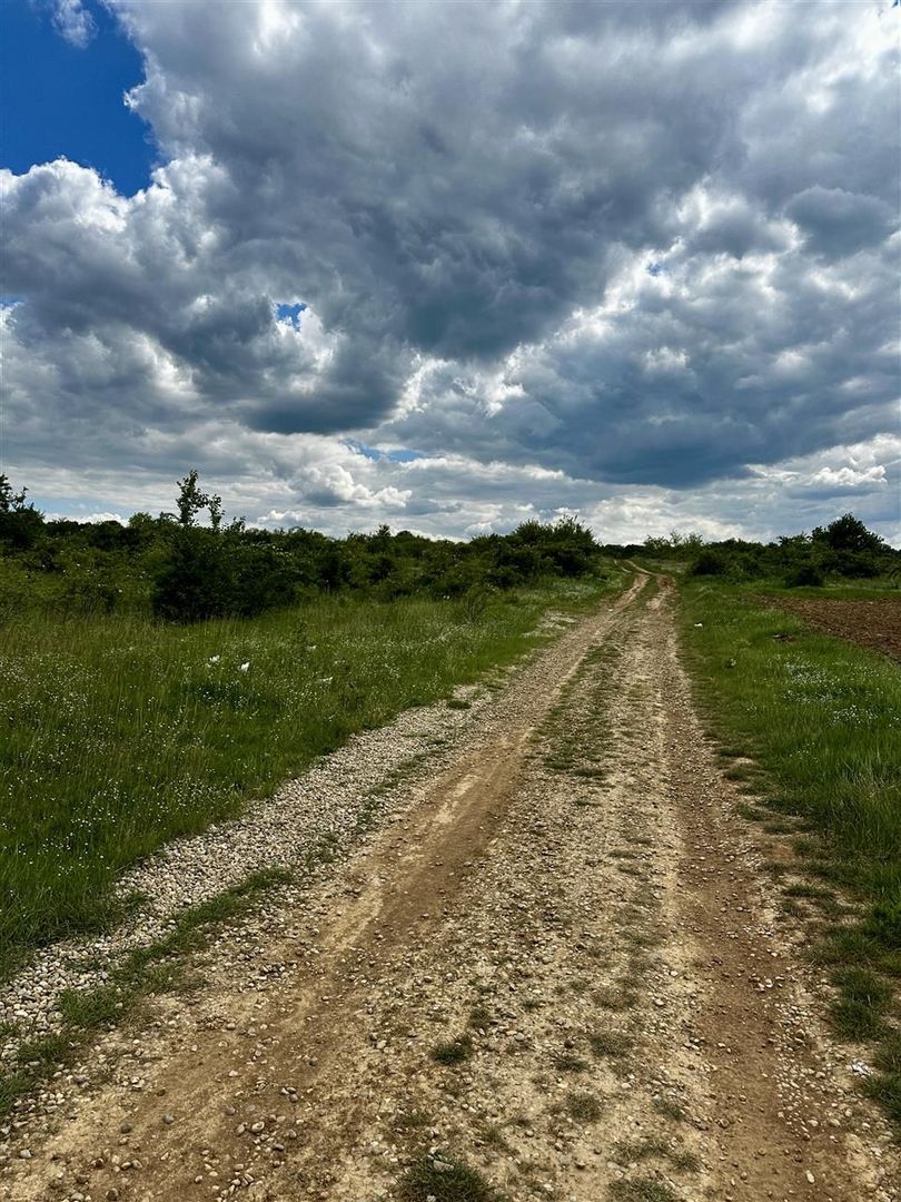 Teren Intravilan Inel Metropolitan - Poză 4