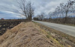 Vand teren extravilan - Poză 5