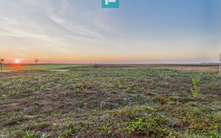 Proprietate impresionantă între Curtici și Macea - Poză 30