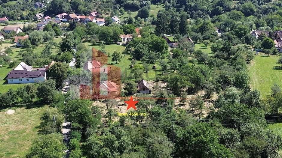 Teren 4558 mp cu casă tradițională, Sohodol, Bran - Poză 3