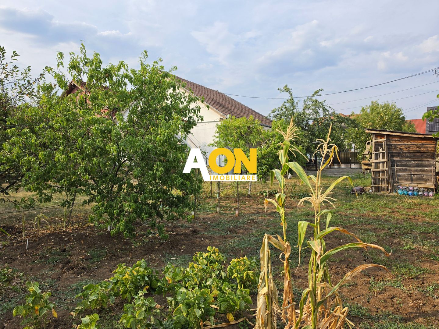 Casă 3 camere, 630 mp teren, zona Schit, Cetate - Poză 4