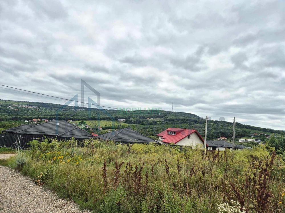 Vând Teren Vișan Bîrnova intravilan - Poză 1