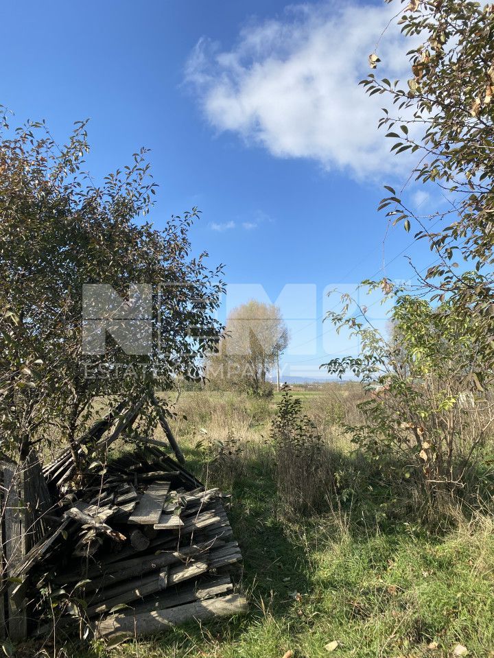 Teren 42 de ari | Andronic Motrescu - Poză 1