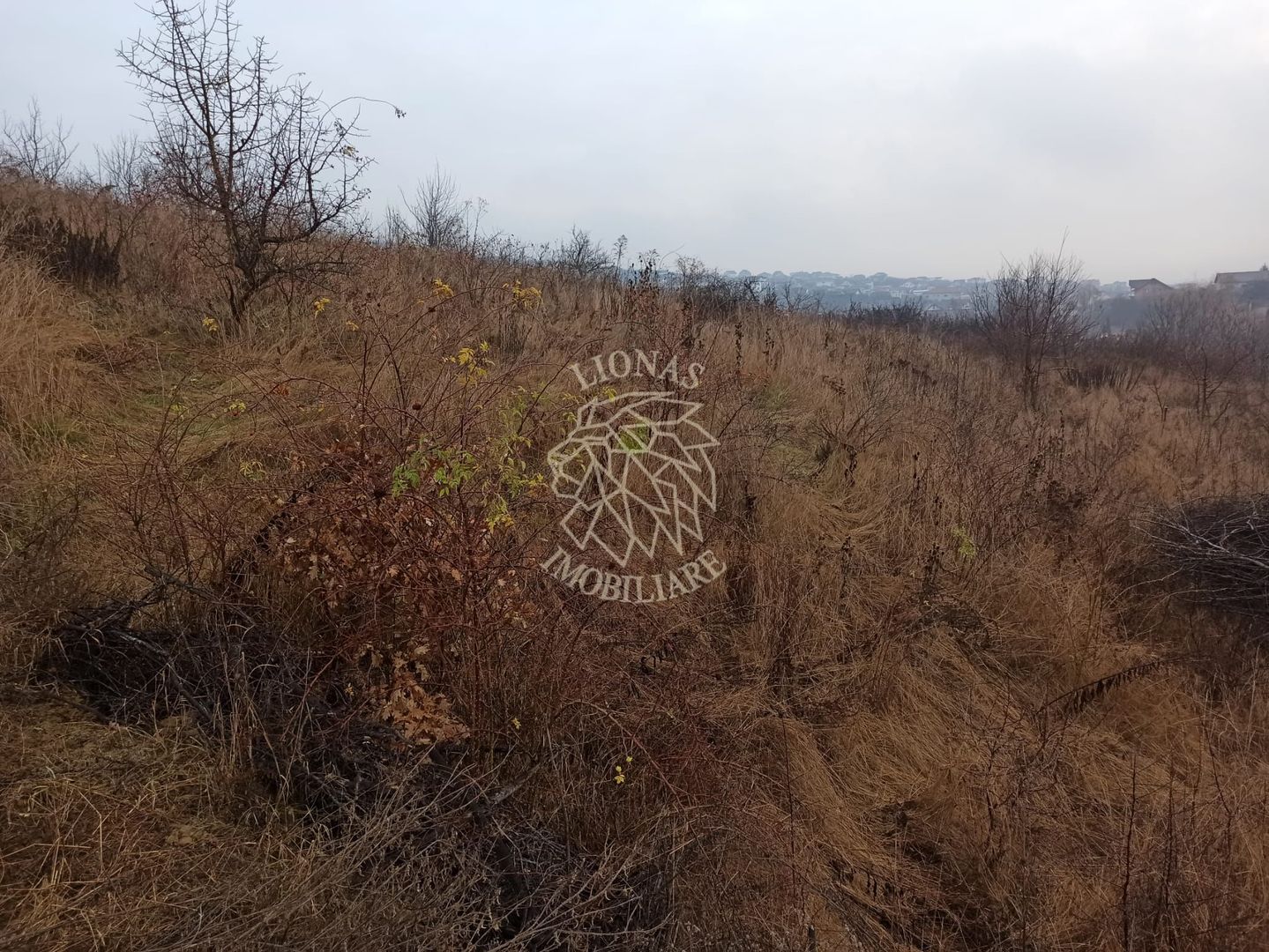 Teren intravilan 600 mp-ideal casa-Valea Sigmirului - Poză 6