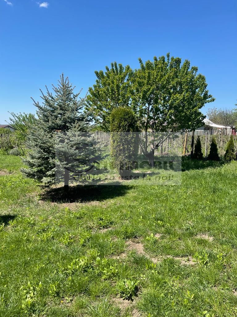 CASA/VILA DE INCHIRIAT - MOARA DE VANT - 800 EURO - Poză 19