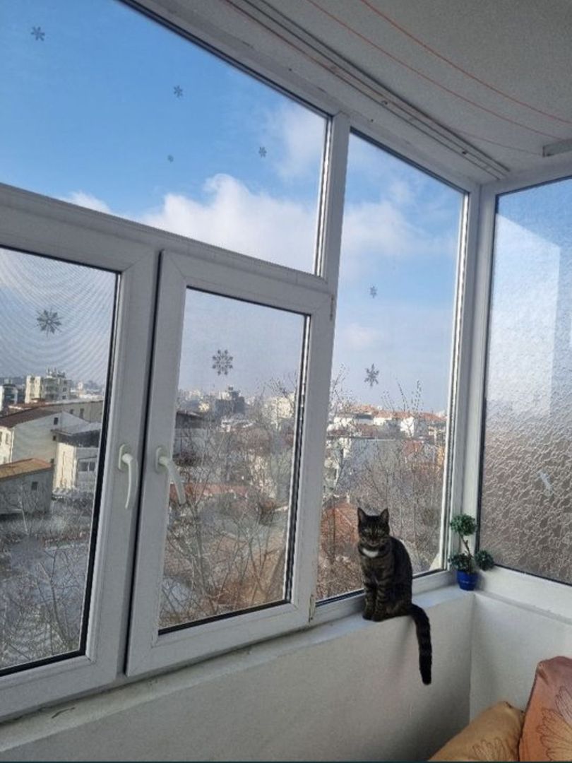 Apartament 3 camere - Poză 6