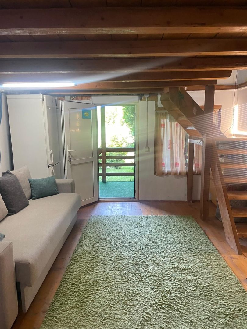 Cabana de vanzare in Capusu Mare - Poză 5
