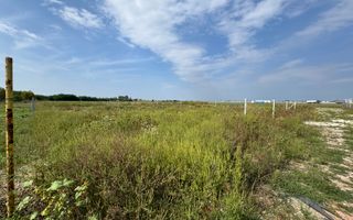 Teren 1000 mp | Zona Balta Blonda - Poză 3