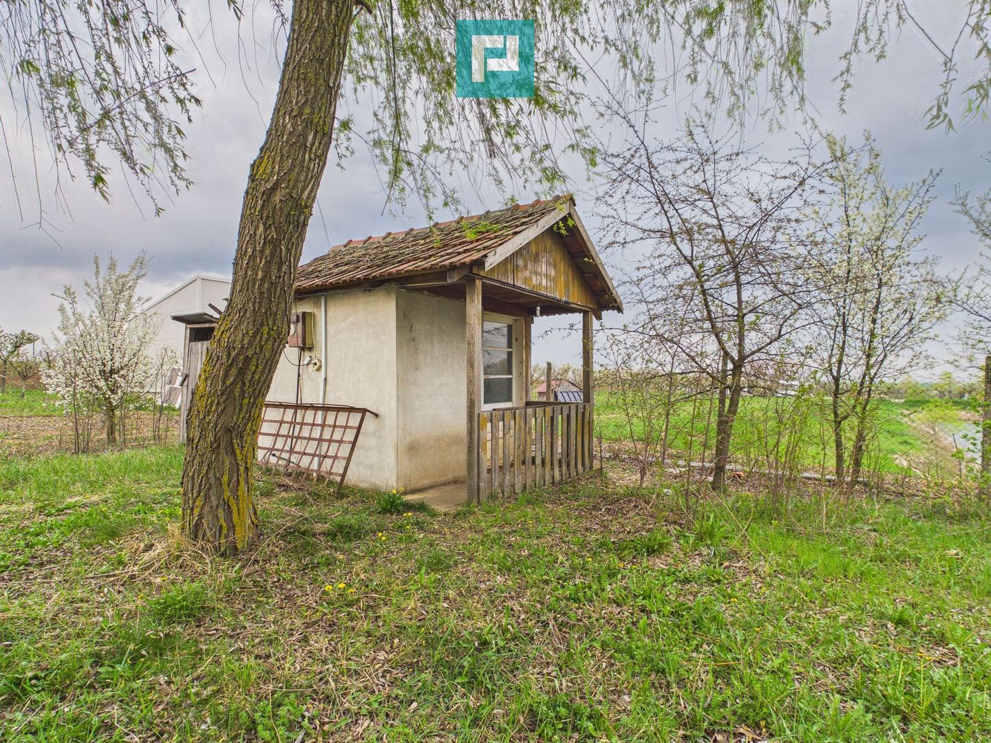 Teren 1 ha cu baltă populată – Alioș (Mașloc) - Poză 7