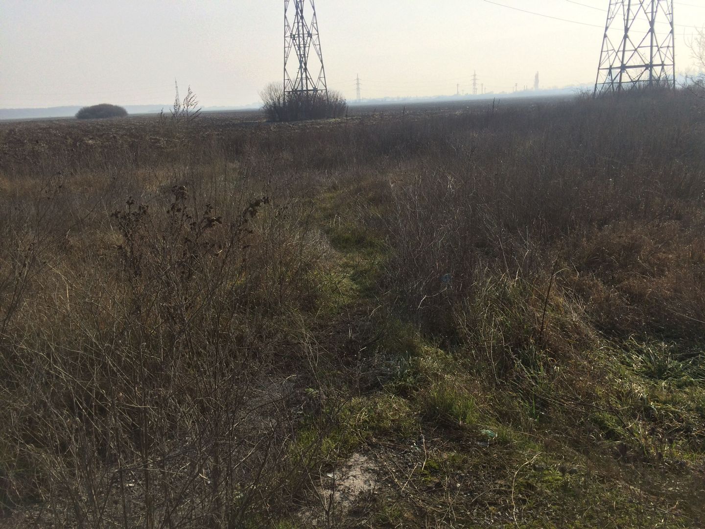 teren Cernica sat Caldararu - Poză 7