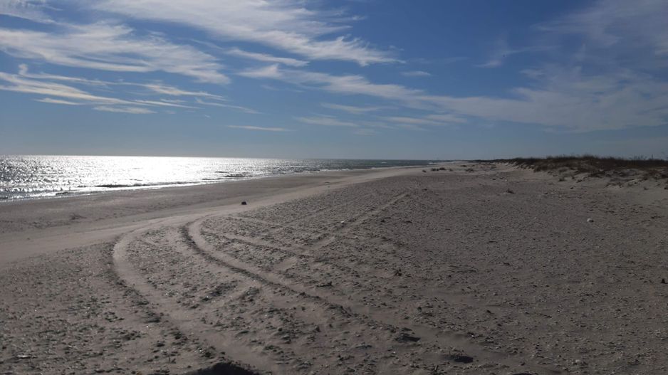 Teren 1000 mp - Plaja Vadu - Poză 3