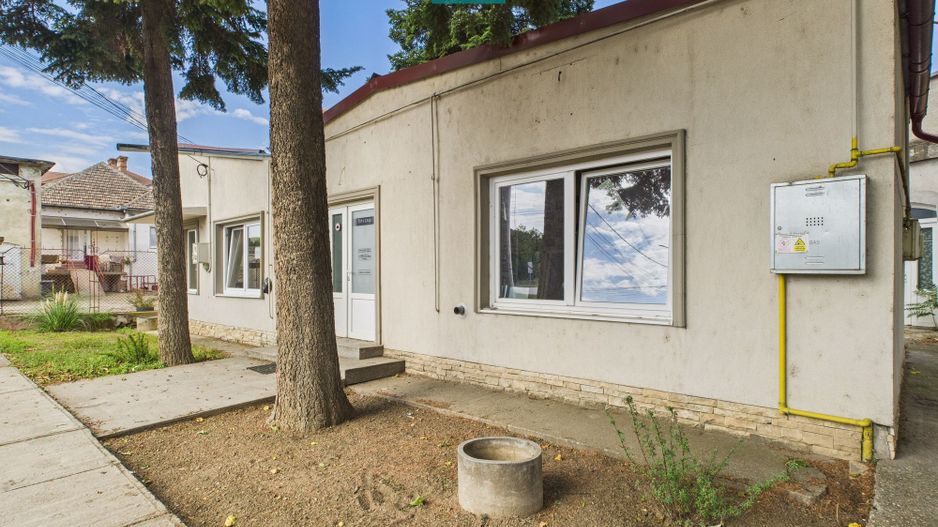 Spațiu stradal de investiții în Periam - Poză 3