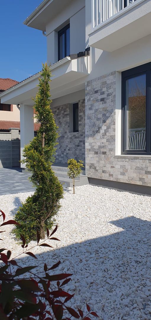 Casa individuala Dumbravita - Pădure - Poză 20