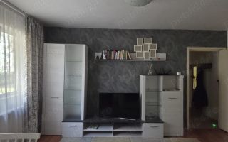 Apartament 3 Dacia la parter - Poză 2