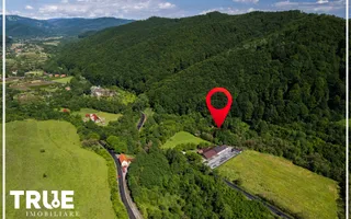 Teren intravilan 2.800 m² în Câmpu Cetății – liniște și natură - Poză 17
