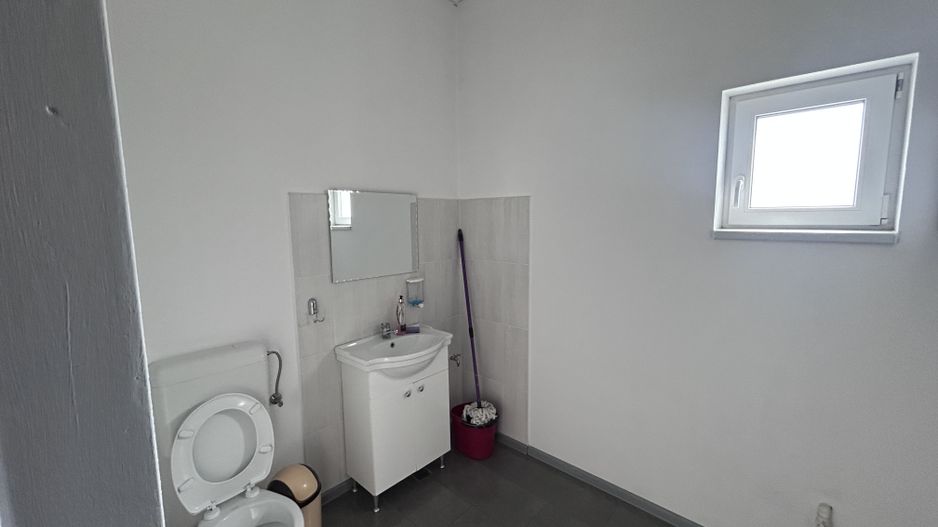 Spațiu comercial de vânzare Vladimirescu - Poză 8