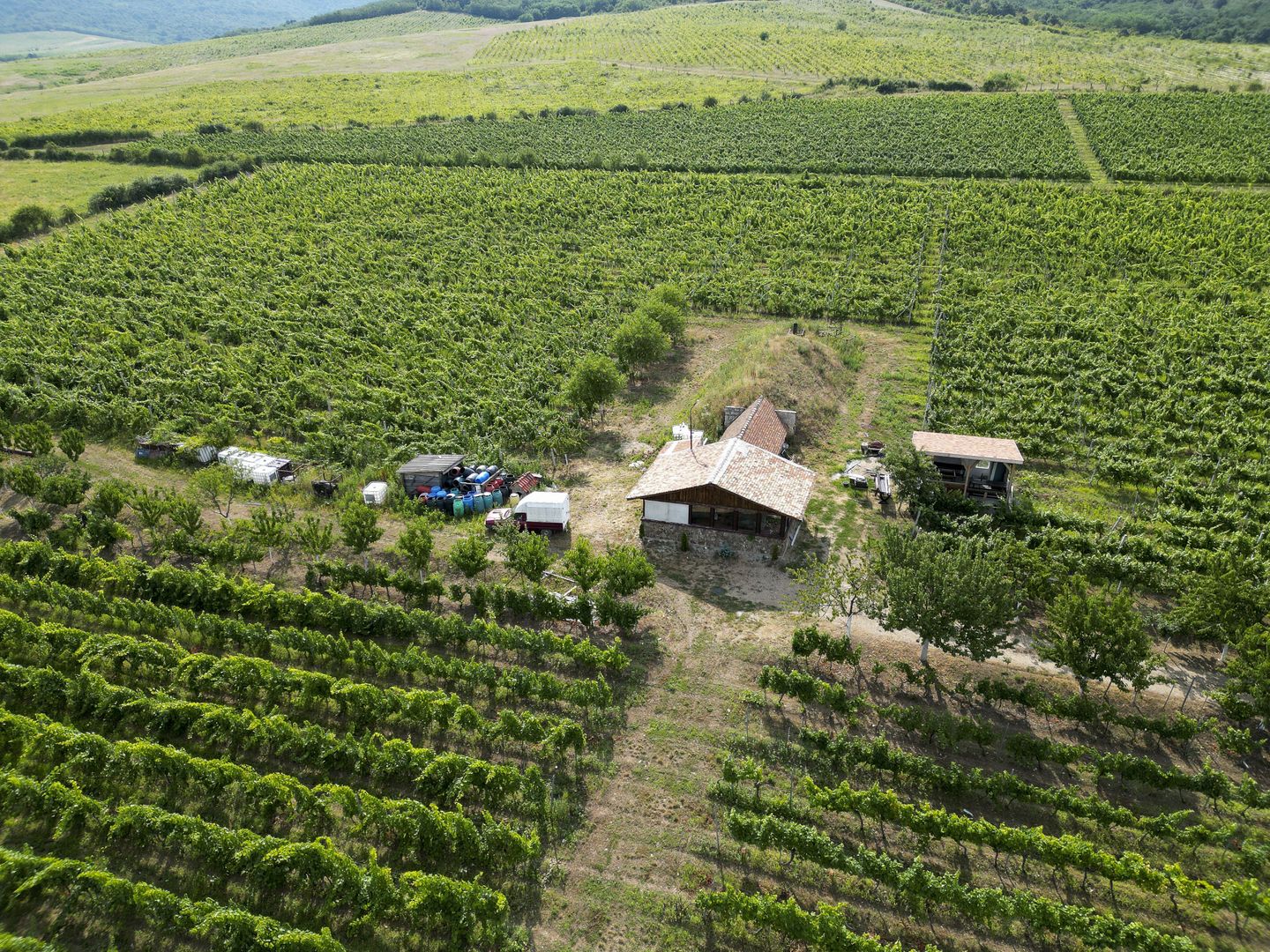 Vie Tradițională „Halta Lupilor” - Poză 40