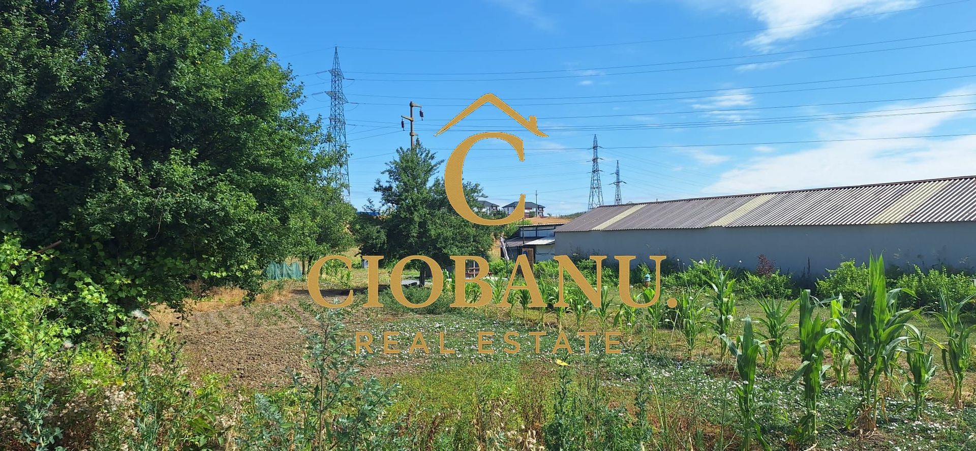 Teren intravilan de vanzare in Isalnita - Poză 1