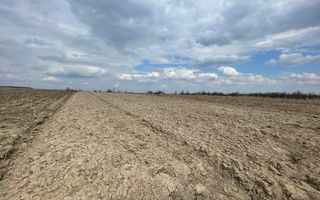 TEREN EXTRAVILAN | 23 ARI | HORODNIC DE SUS - Poză 2