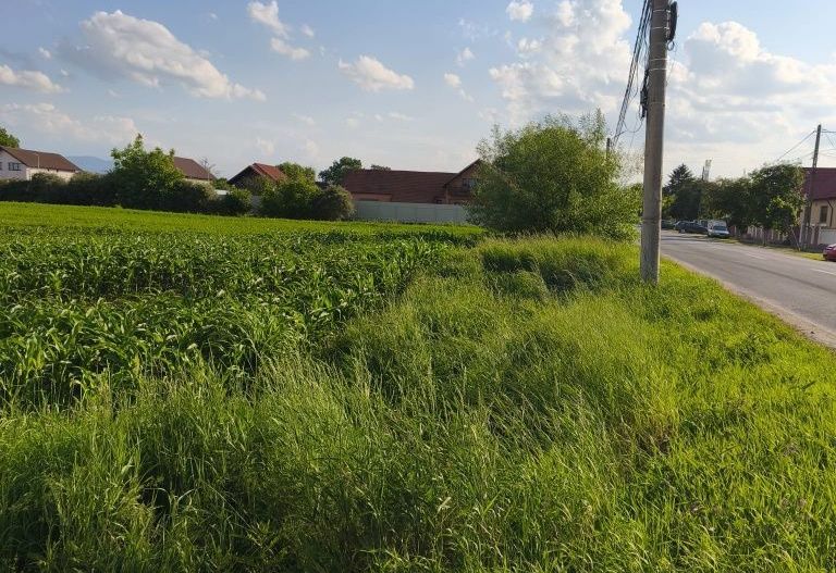 teren intravilan 700mp str. Fagurului, Stupini - Poză 4