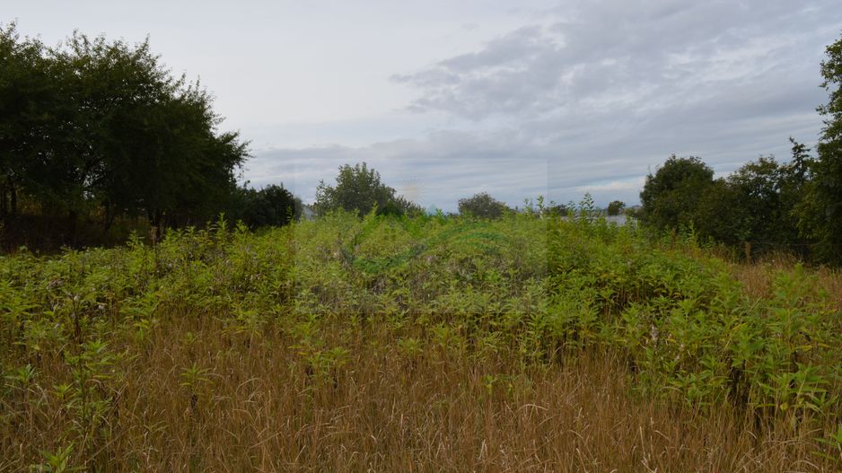 Casă de vânzare în Sfântu Ilie și teren 2000 mp - Poză 48