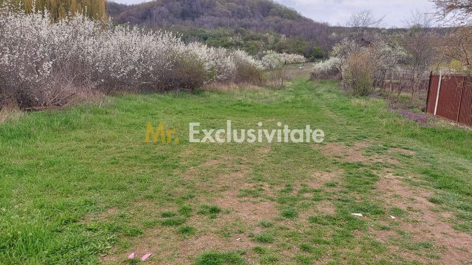 Teren Topoloveni - 3670 mp - langa padure, aproape de Centrul orasului - Poză 2