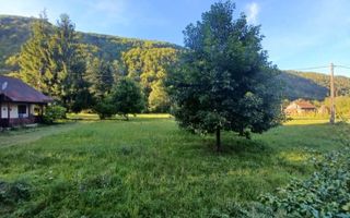 Teren de vis de vanzare in Remeti-Bihor-27p0 mp - Poză 9