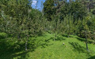 Vila de lux,  de inchiriat! Drumul Poienii! - Poză 58