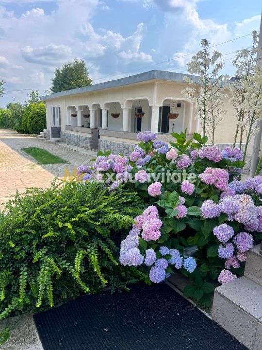 Casa visurilor cu 4000 mp livada roditoare si gradina Darmanesti-Arges - Poză 27