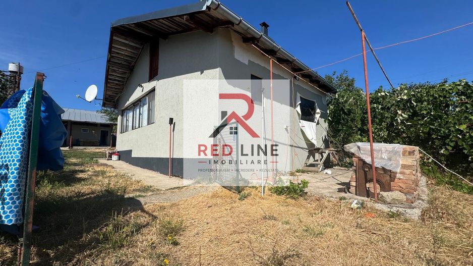 Proprietate de 9.881mp în Dudașul Schelei – Ideal Agroturism sau Fermă - Poză 3