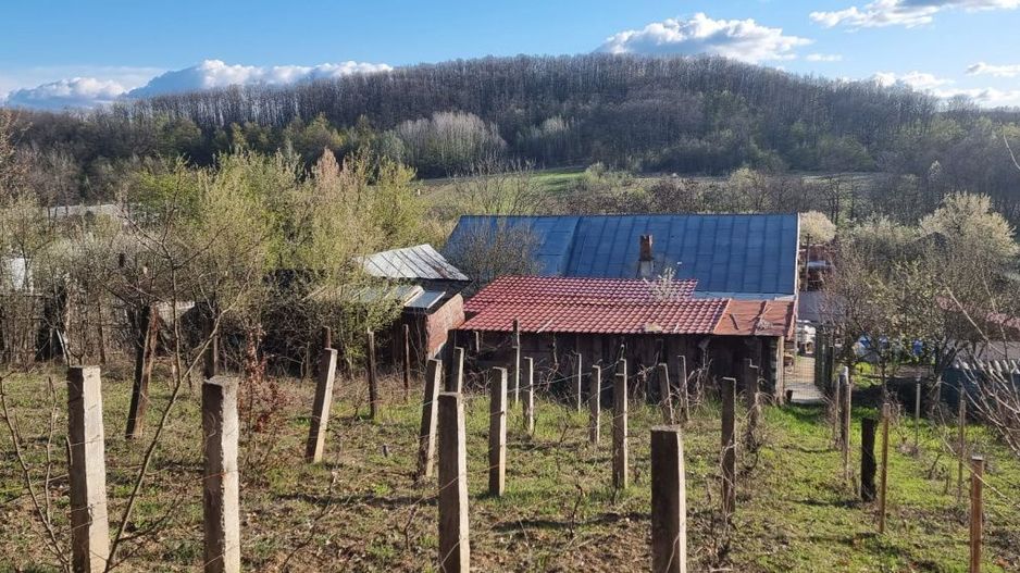 Casă P+M cu 1.558 mp teren, livadă și garaj | Barza, Gorj Comision 0%  - Poză 15