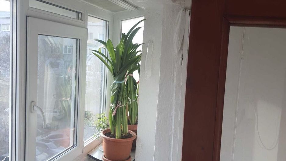 Apartament 2 camere Inel1 - Poză 1