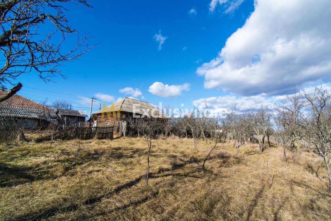 Casa traditionala argeseana – comuna Vedea, jud. Arges - Poză 7