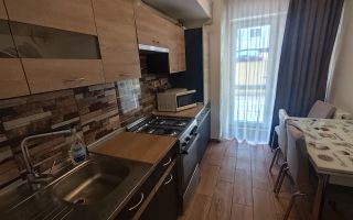 Apartament 2 camere, 46 mp util + terasa 41 mp, zona CUG, Iasi - Poză 2