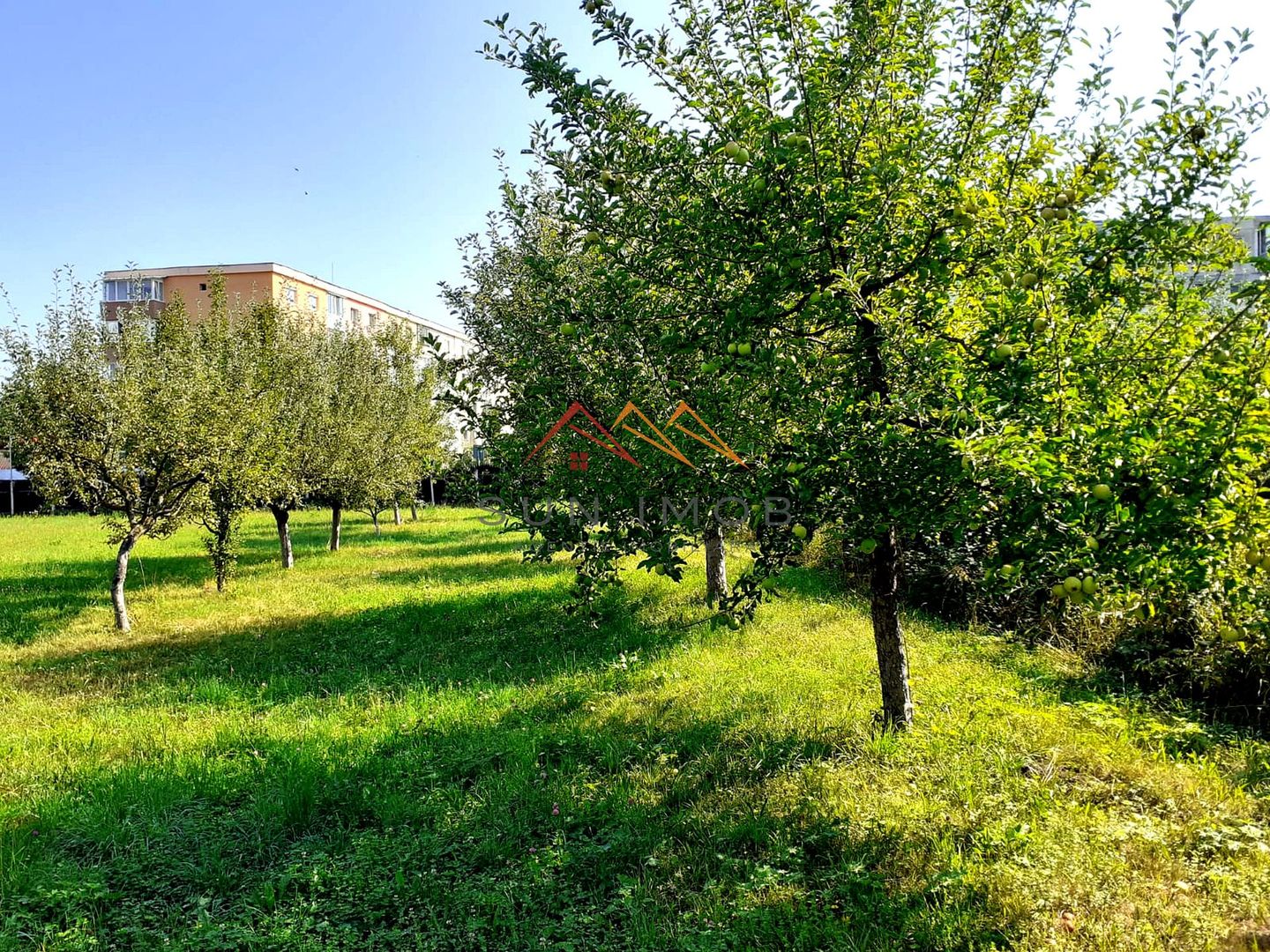 Casa 3 camere, teren 3625 mp, toate utilitatile, Sacele, Brasov - Poză 4
