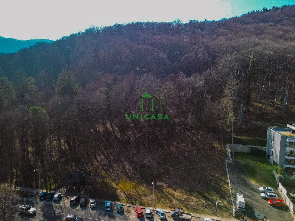 Teren - Caciulata - Deschidere la E81 - Poză 2