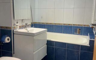 Apartament cu 3 camere zona Lipovei - Poză 9