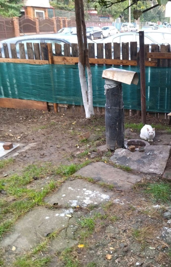 Casă Tătărași excepțional situată! - Poză 2