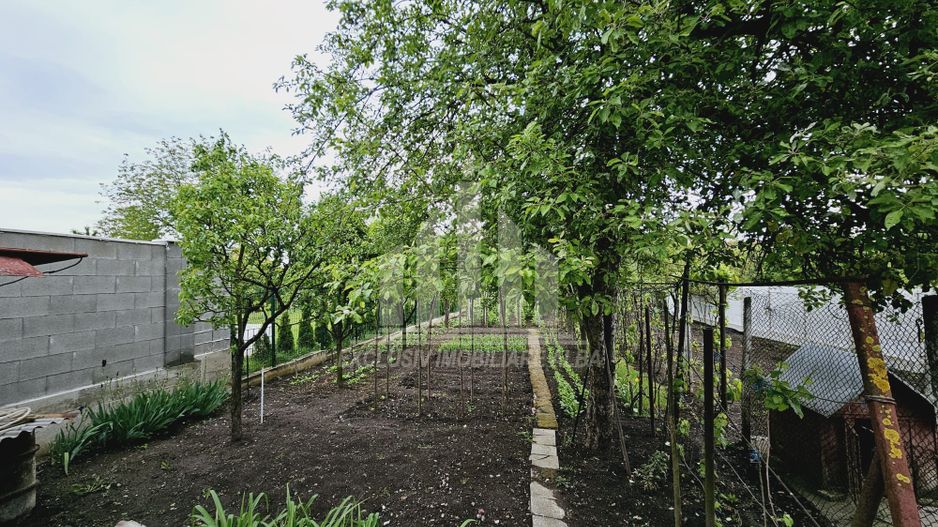 Casa individuala de vanzare, Cetate - Poză 13