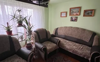 Două case individuale de vânzare în Teliuc –ideale pentru două familii - Poză 14