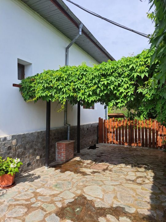 Proprietate de excepție în Lelești – la doar 8 km de Târgu Jiu - Poză 25