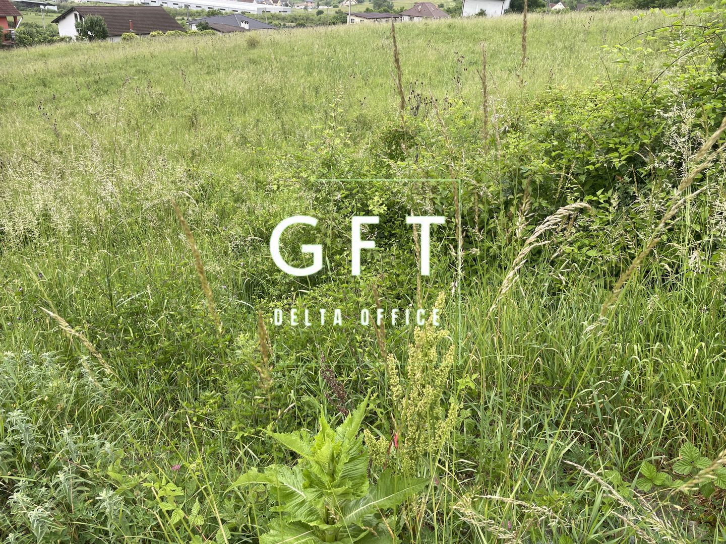 Super oferta! Teren intravilan , Viisoara- 2300 euro/ar - Poză 6