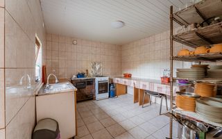 Domeniu în satul Căprioara - Poză 49