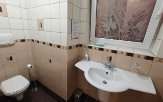 De închiriat: vilă interbelică - stradal - Berzei-190 mp utili - Curte - Poză 17