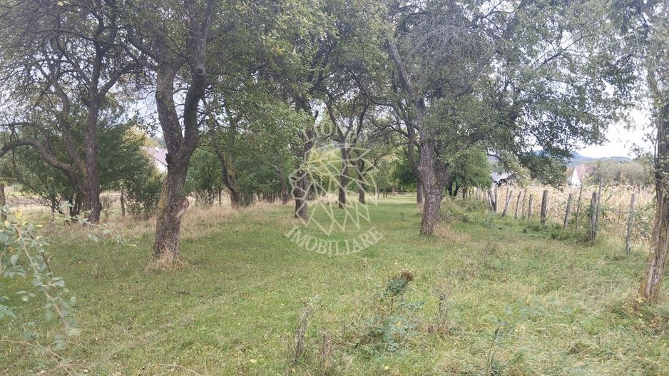 Teren intravilan 2500 mp-utilitati-ideal casa-Mijlocenii Bargaului - Poză 2