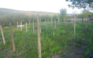 Teren intravilan de vânzare în sat Vânători, comuna Popricani, județul Iași - Poză 3