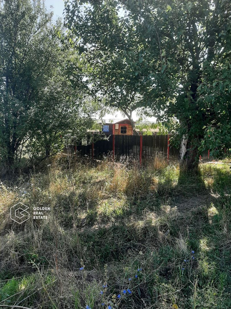 Terenuri 1300 mp, Lipova - Poză 1