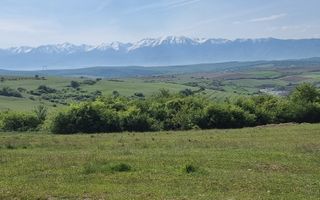 TEREN  EXTRAVILAN 2000 MP ÎN DAIA - BAVARIA | DEALUL 2 | DOAR 15€/MP - Poză 14