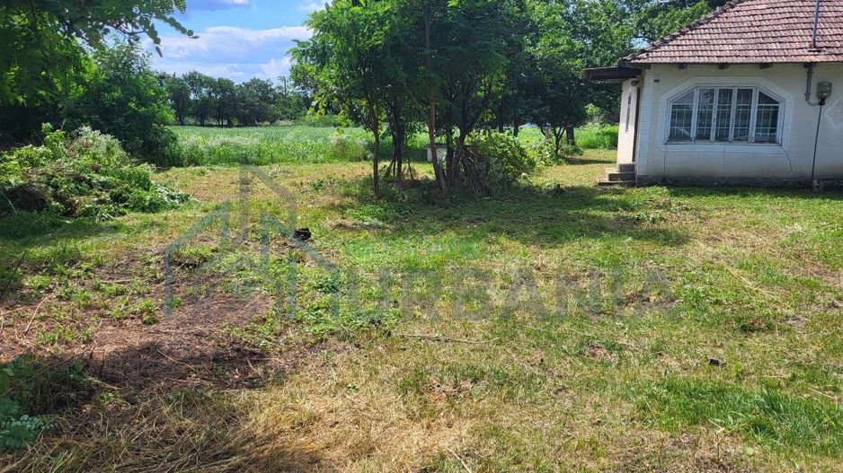 Casă bătrânească cu 5200 mp teren în Damileni - Botoșani - Poză 8